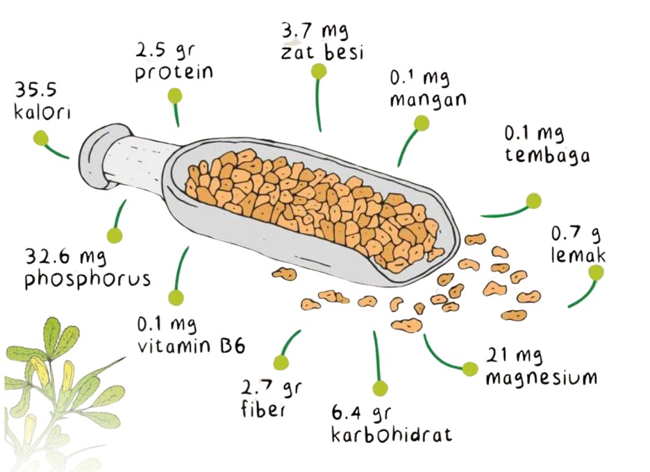 Ilustrasi kandungan nutrisi biji halba